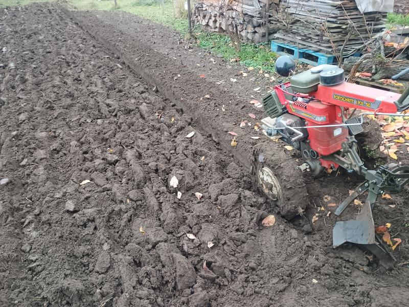 IMG 20251115 134743315