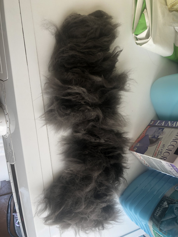 DC43CA78-172A-4460-BF68-F4E06C550111