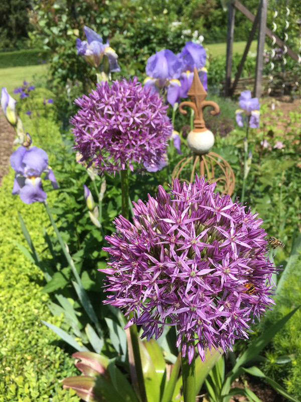 C6255A7B-043F-4935-B9D4-CC635453F9CF