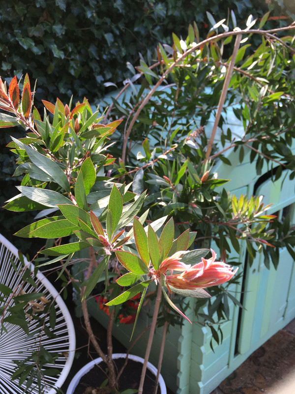 E2CC5F58-9A10-4699-9D06-A66900E8E68E