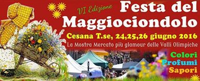 Festa del Maggiociondolo  -  Cesana Torinese
24 - 25 - 26  giugno