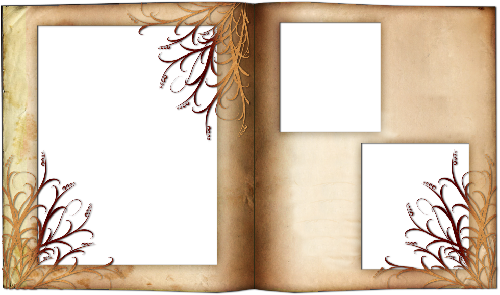 Into The Jungle Frames (6)