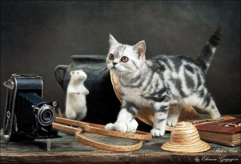 11796398-588292514607549-8596768253417999699-n