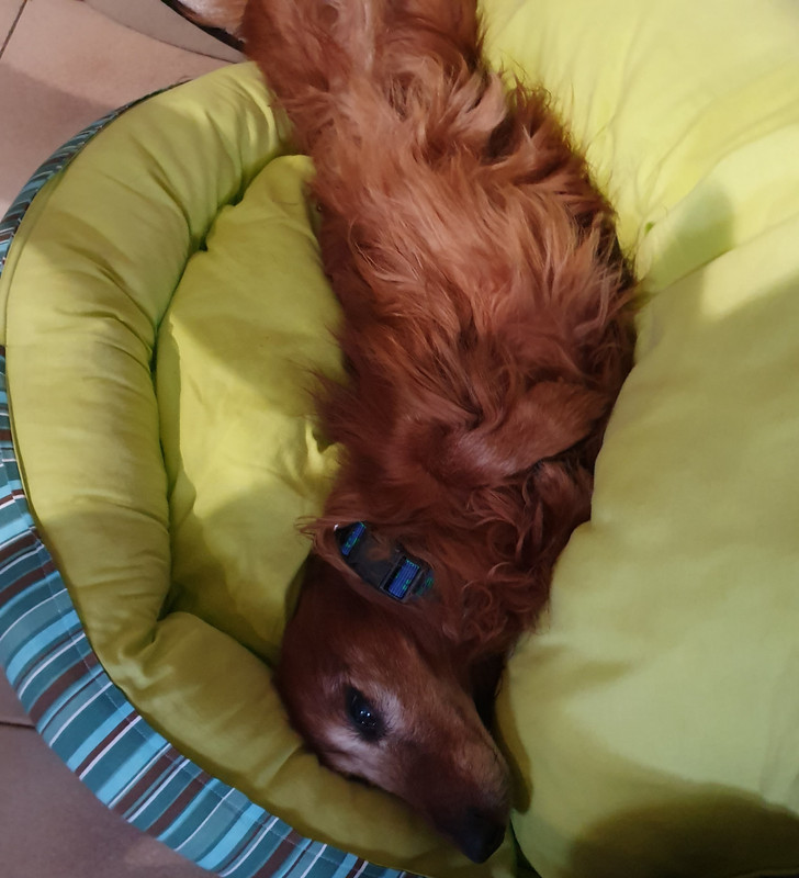 [Image: 20210116-145723.jpg]