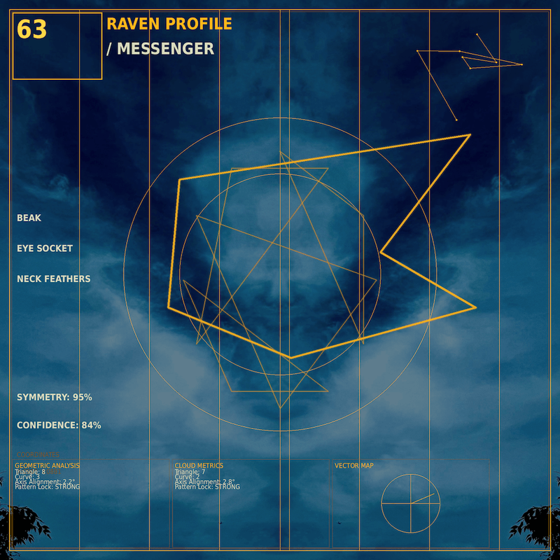 Raven profile