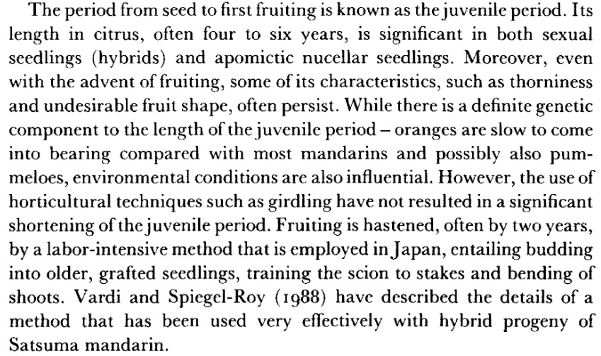 Citrus juvenile period