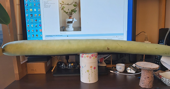 [Image: 20200815-194248.jpg]