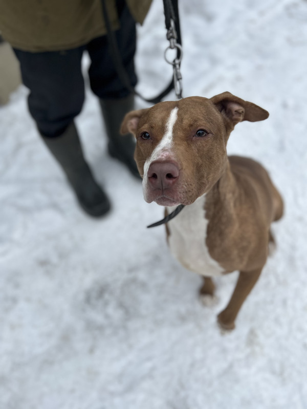 E876EC6A-20FC-4032-AAB8-41D2D7428EF2