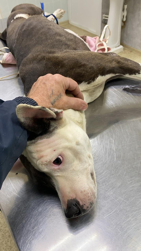 WhatsApp Image 2022-08-25 at 09.33.00 (1)