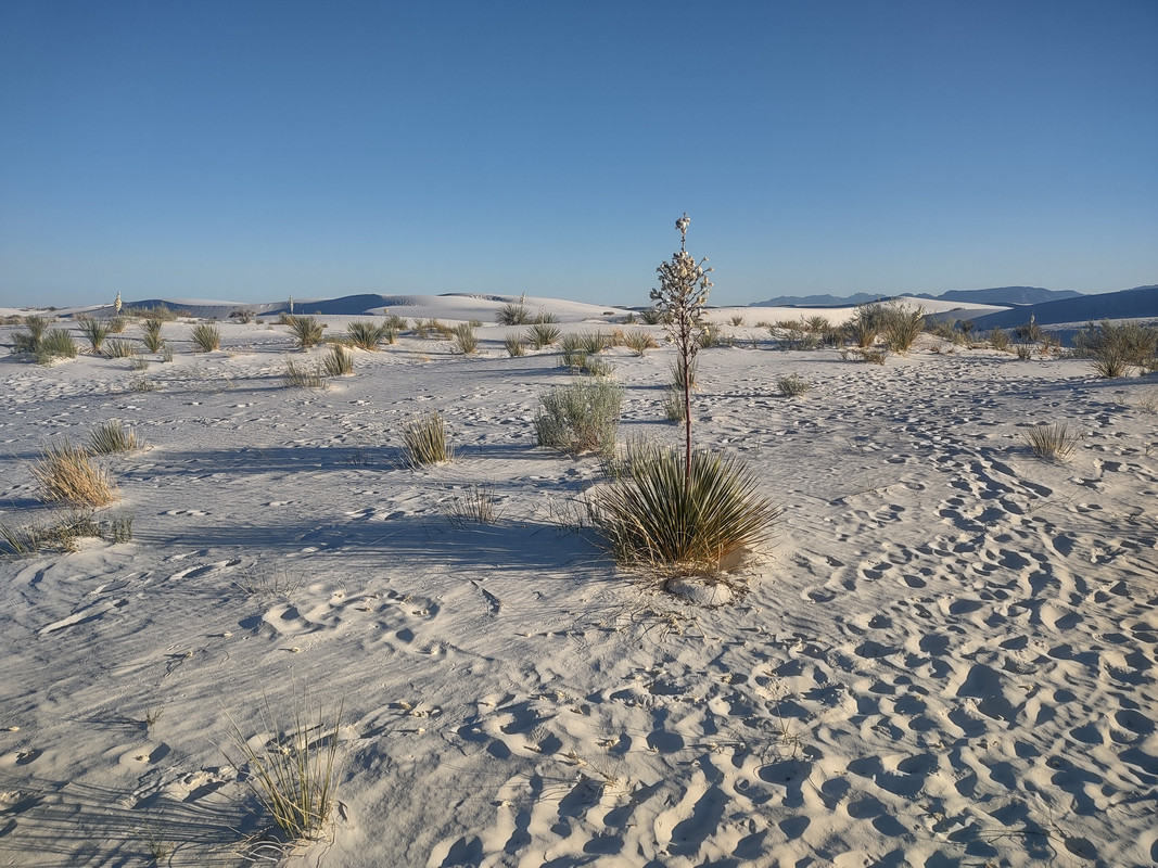IMG_20250606_191217959_HDR