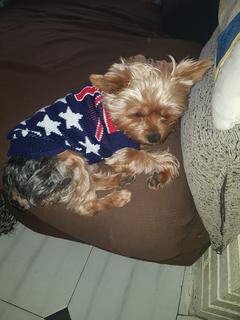 WhatsApp Image 2019-12-17 at 16.15.46