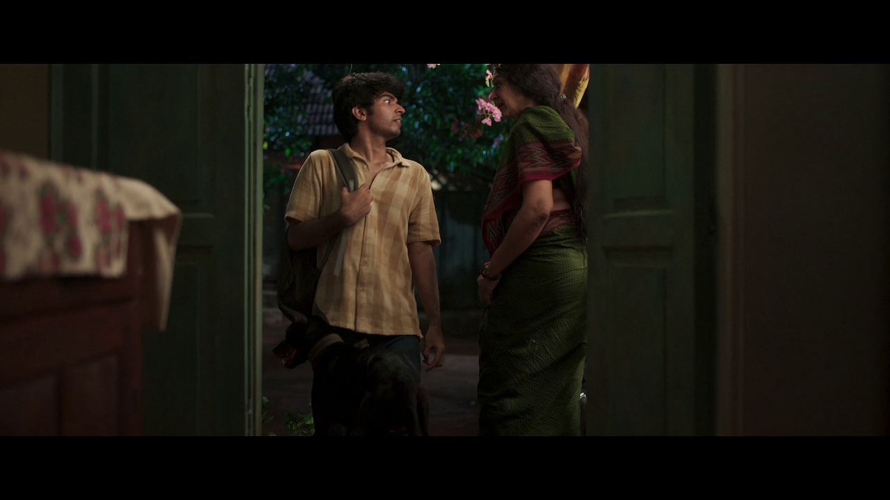 vlcsnap-2025-06-01-15h24m54s348