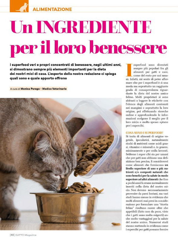 Ga Ma Dic 2023-Gen 2024 (9)