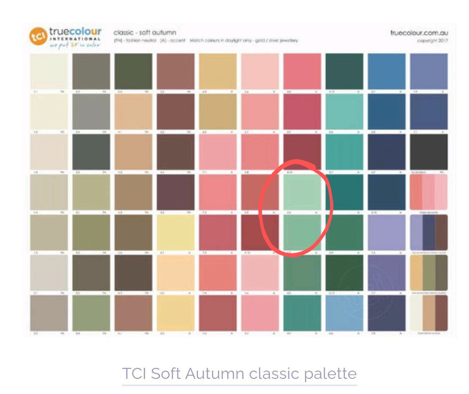 Screenshot_2022-06-16-07-42-02-186~3