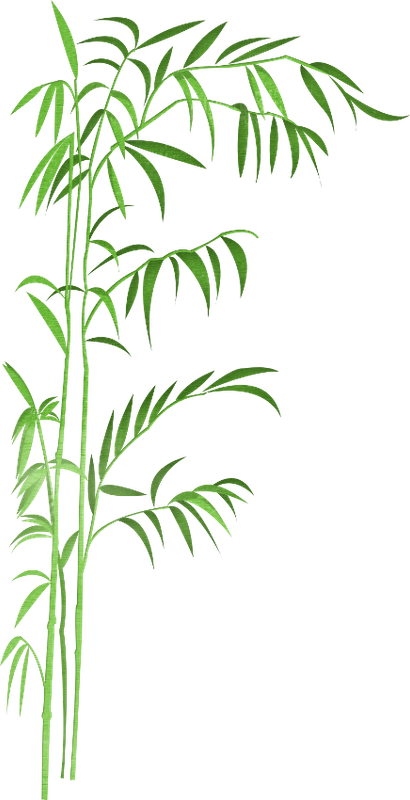 Into The Jungle (129)