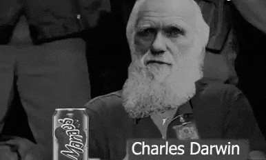 ezgif-3512d596276d9d.gif