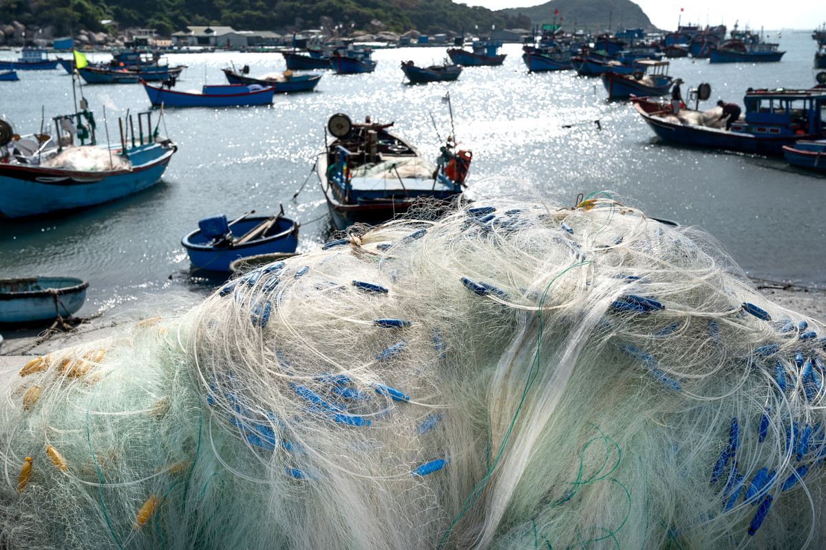 La pesca recreativa en el Mediterráneo es más dañina de lo que se pensaba