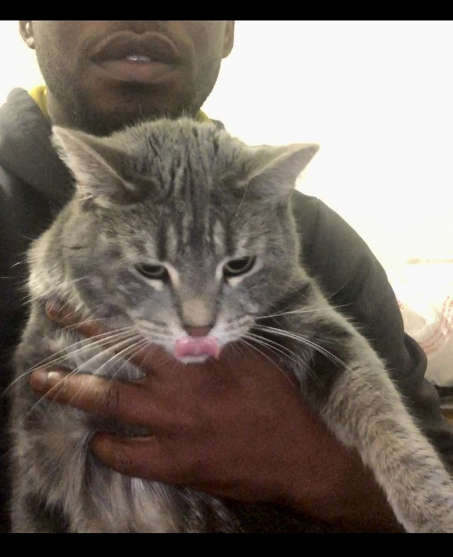 22323465-1890-4BCB-BD66-5C92CC961840