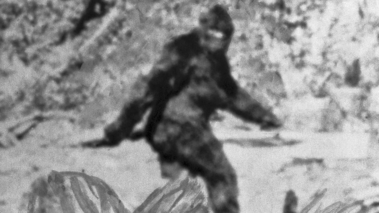 [Image: 105951036-1559761167164bigfoot.jpg]