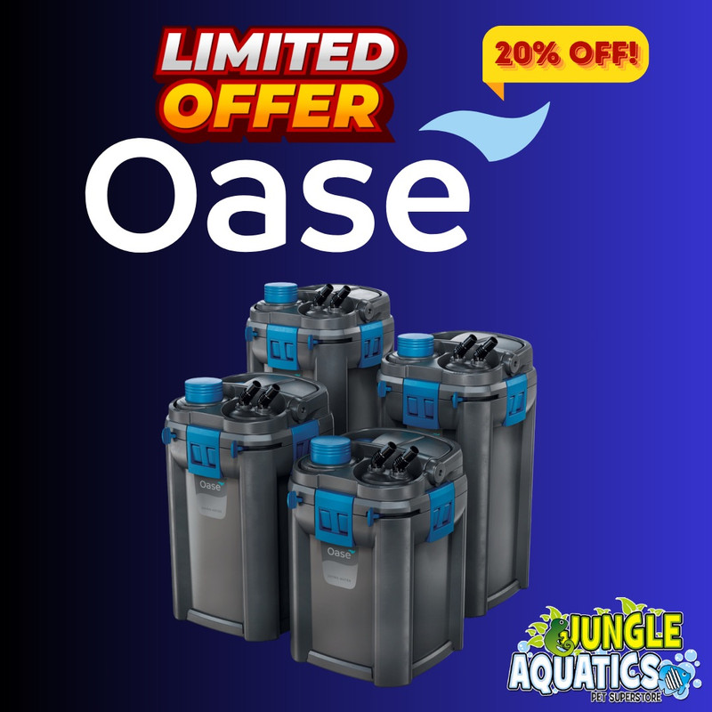 Oase-20-Sale-Sep2025.jpg