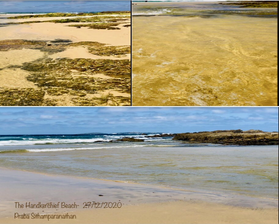 3-D4788-A8-9-E0-F-45-CB-971-D-654722-DCA