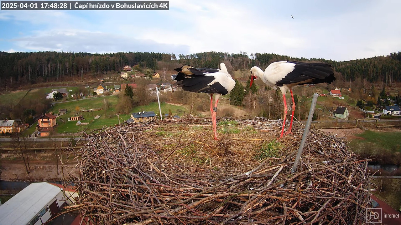 Tiešraidē no uzņēmuma KARA stārķa skursteņa Bohuslavicē pie Trutnovas 15-2-11 screenshot