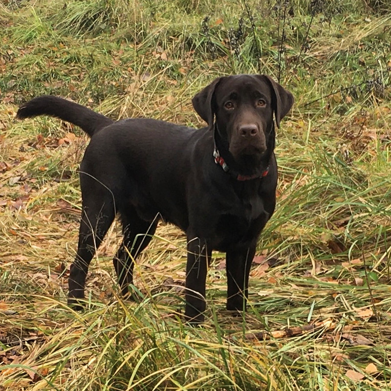 1CF34184-2C9B-43D7-929C-05E594F27559