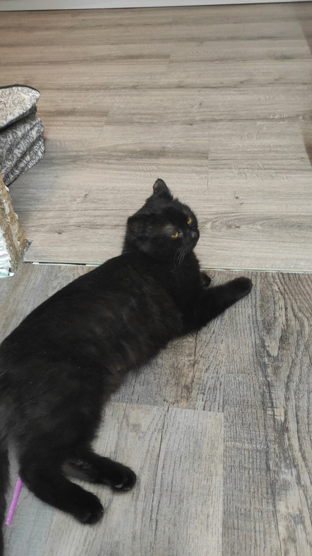 31DEFBCB-61D7-4286-BF77-707E9071E38A