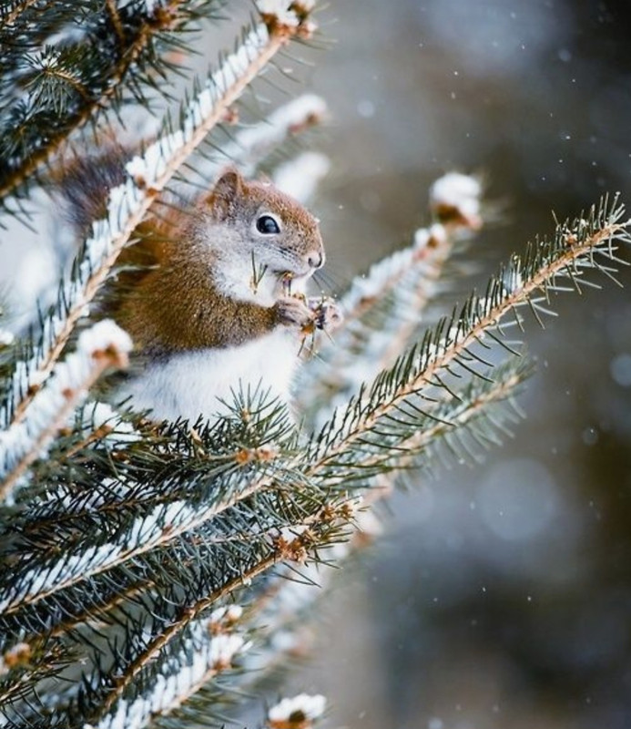 Screenshot_20230225_010353_Pinterest