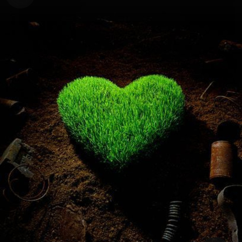 Screenshot_20240214_180121_Pinterest