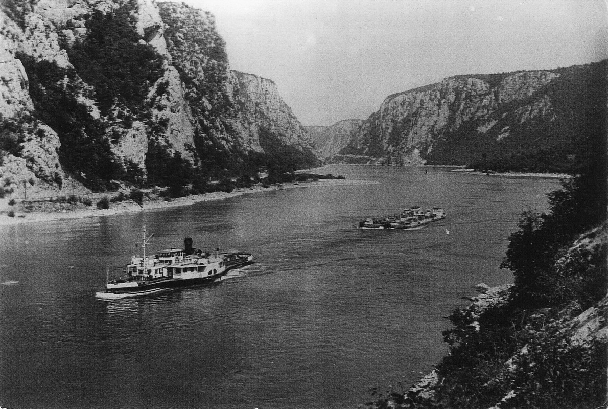 SDGP-Kornjaca-u-erdapu.jpg