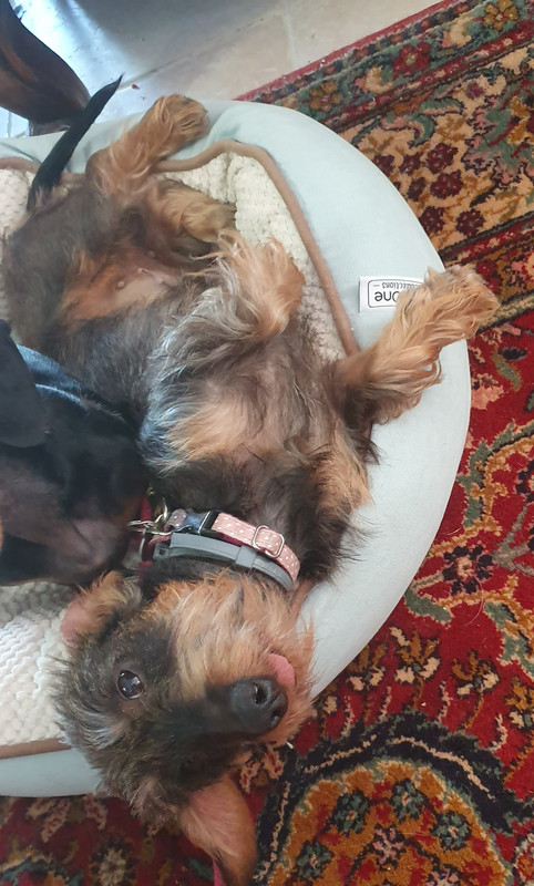 [Image: 20220103-153319.jpg]