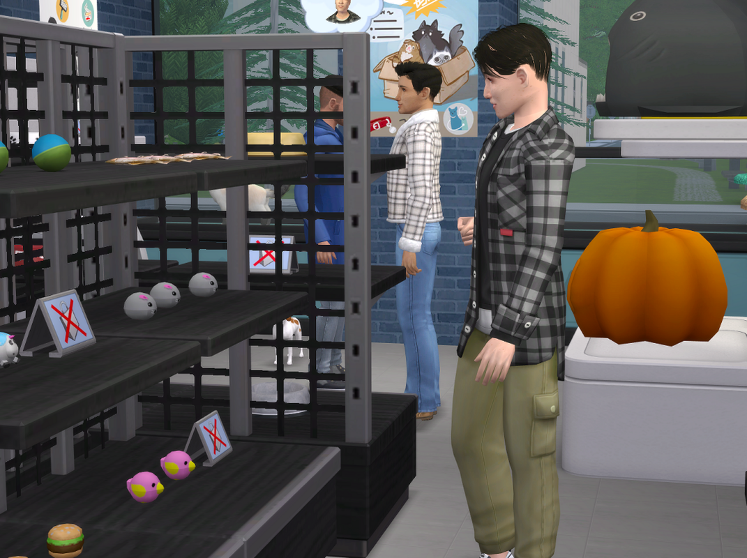 ksnip-20250223-140520