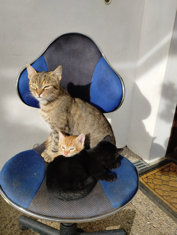 IMG_20251013_145552278