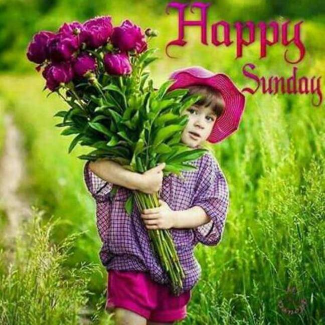 An den Beitrag angehängtes Bild: https://i.postimg.cc/2y7Vcn6C/oie-30756154ypv-KNQF.jpg