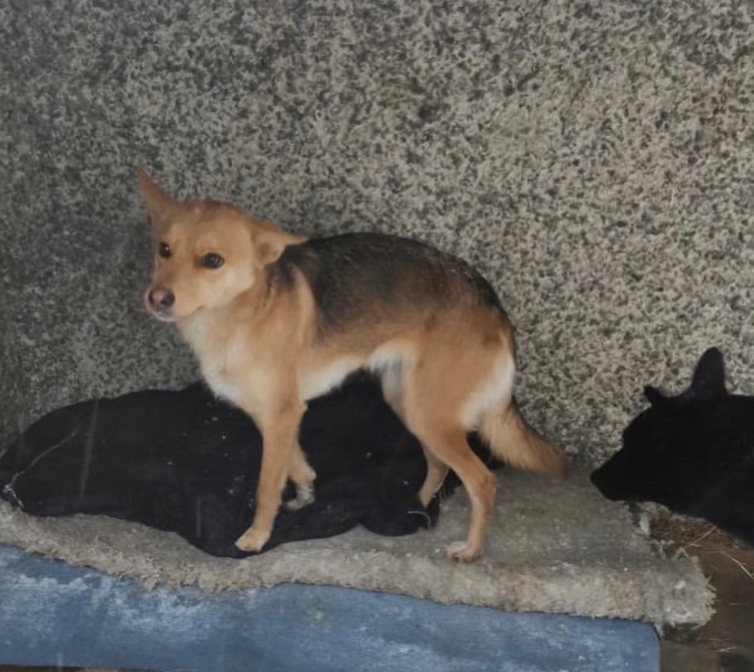 012F40FE-ED56-4FD8-AD38-DFDFAE44F0DF