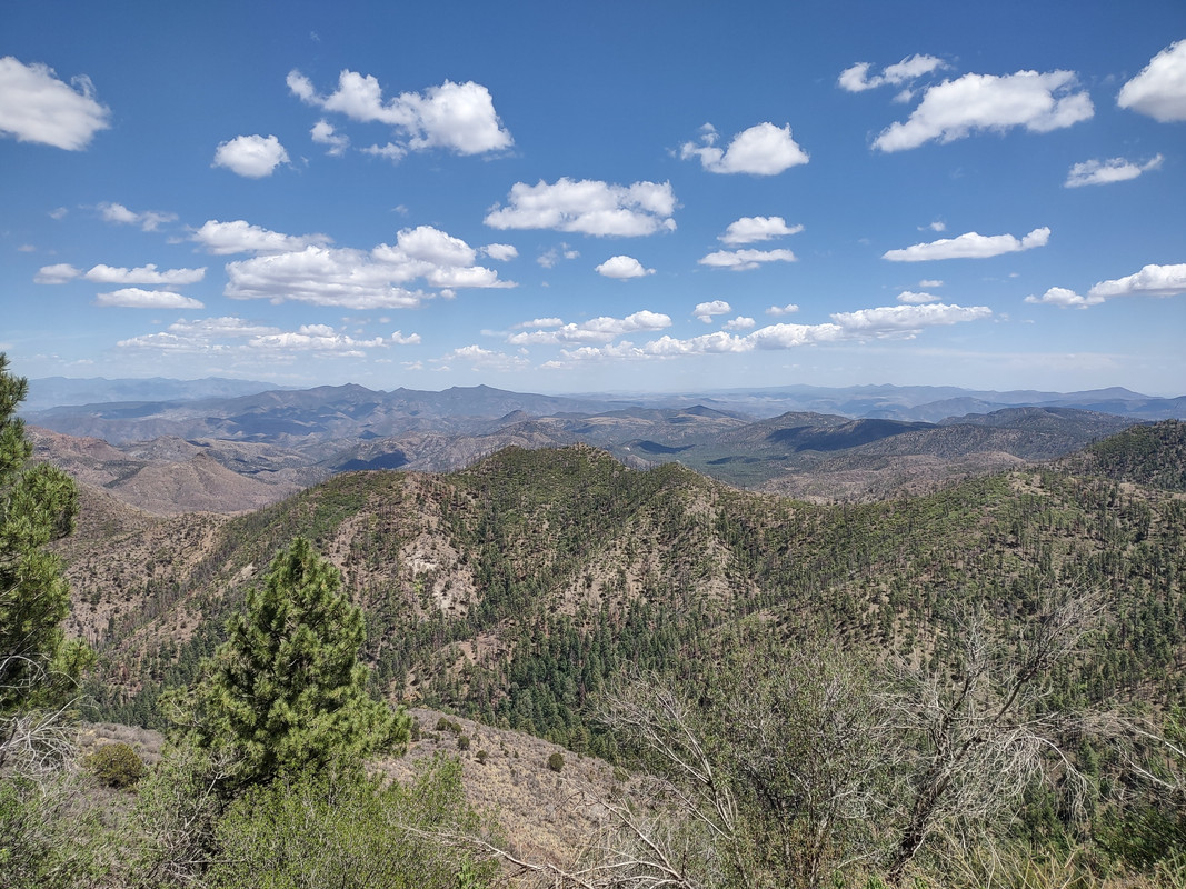 IMG_20250704_133537479_HDR