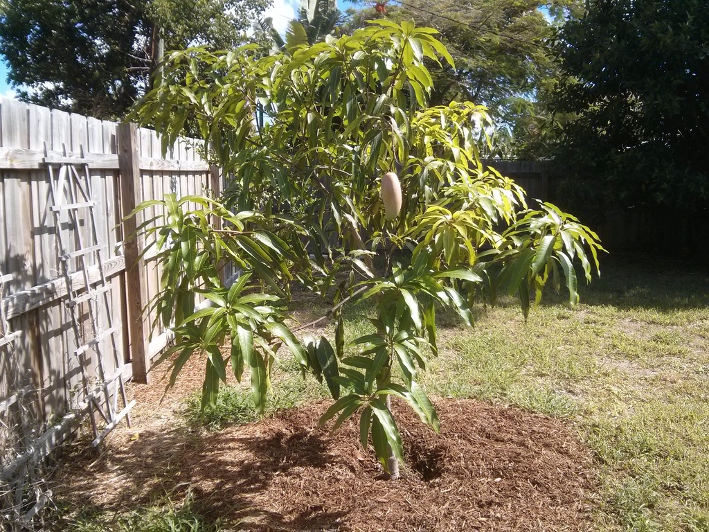 IMG_20150604_102042 (1)