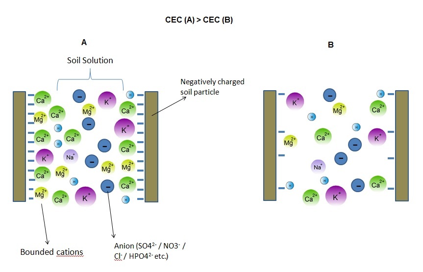 cation image 1 cec