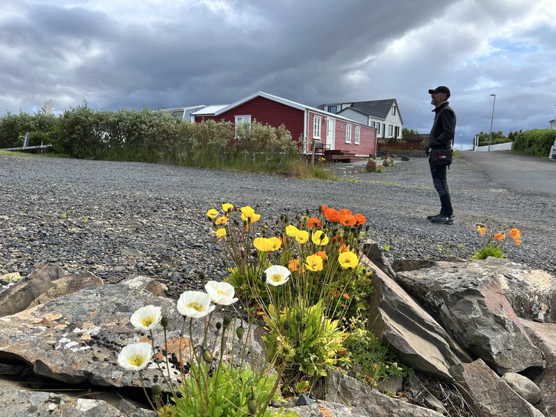 13/07/2025 LLUEVE A CANTAROS, DESCANSAMOS EN STYKKISHÓLMSBAER - 2º Viaje a la Tierra del Hielo y Fuego de 21 días (en construcción, con videos) (4)