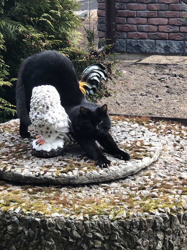 00E058DA-FA63-4700-8F1F-92D6C54B851B