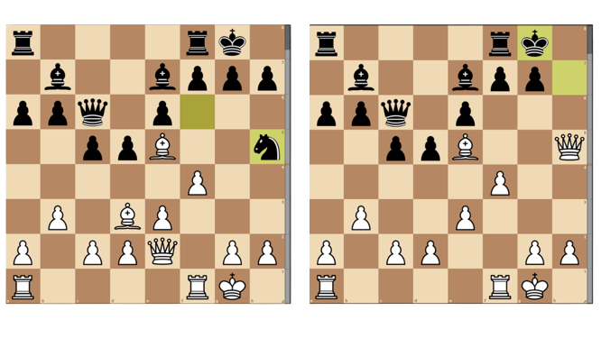 Knight vs Pawns, Beginner to Master