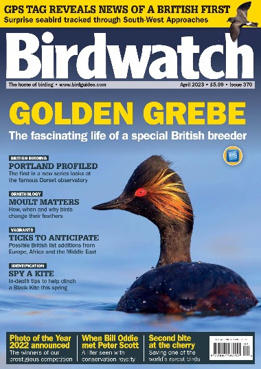 Birdwatch UK - April / 2023