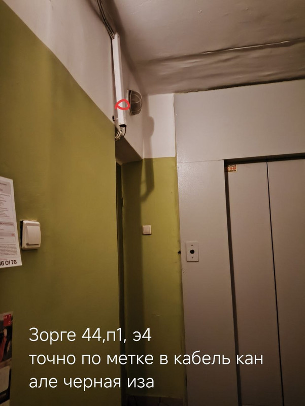 photo 2026 04 11 16 48 31