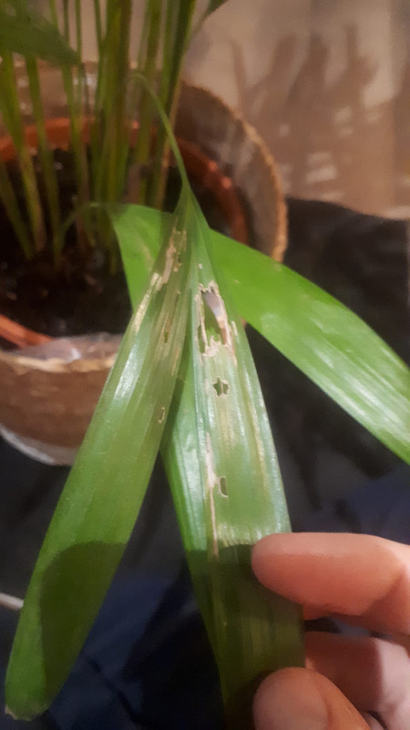 WhatsApp Image 2024-02-18 at 23.59.49(2)