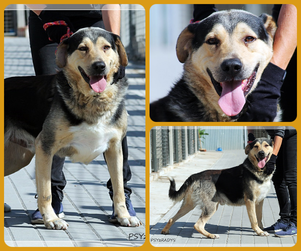 BeFunky-collage (23)