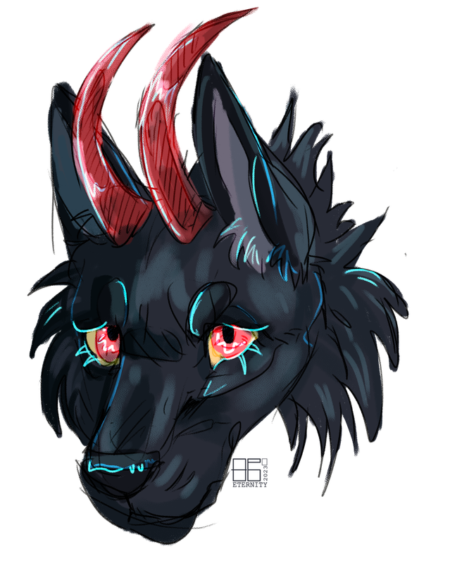 Headshot.png
