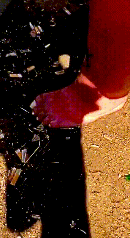 IMG-2283.gif