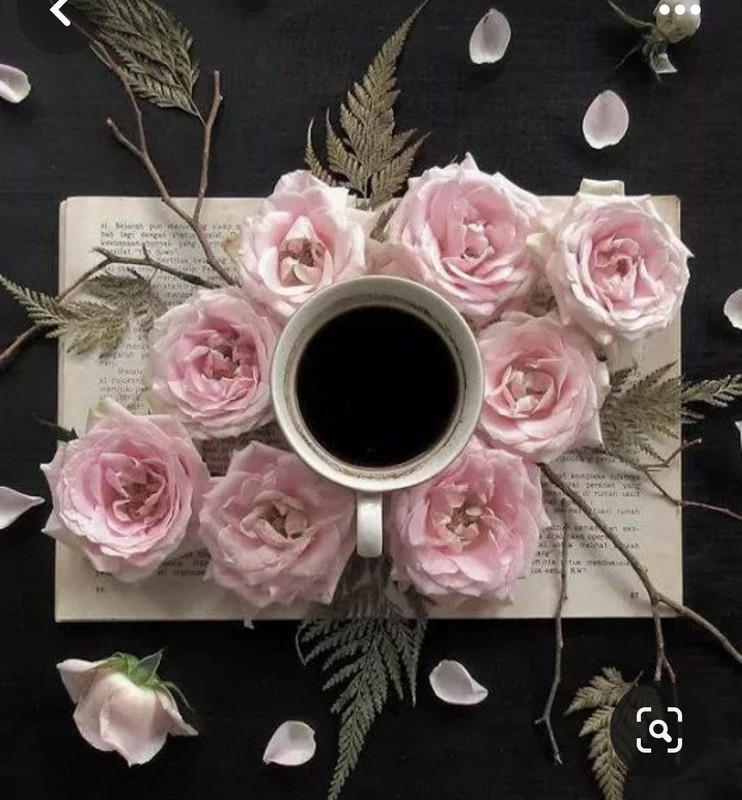 Screenshot_20230905_010033_Pinterest