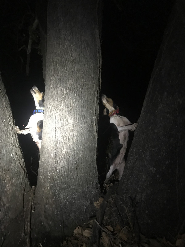 913F57B5-B37B-4C84-A1D8-AA88B351C3D8